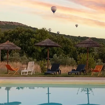 Pet Friendly 公寓 *